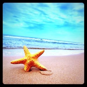 Meet your Posher, Joanne